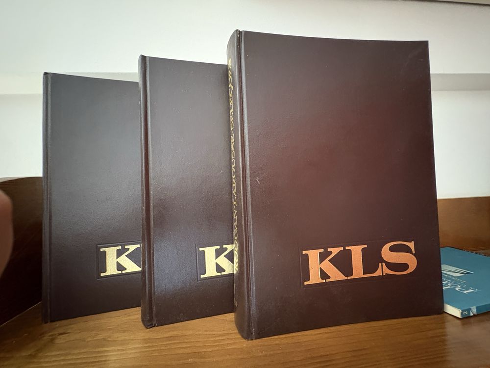 Enciclopedia Dicionario Kogan Larousse