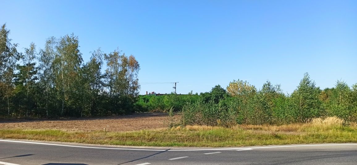 Działki Mielec trasa 984 - Sienkiewicza