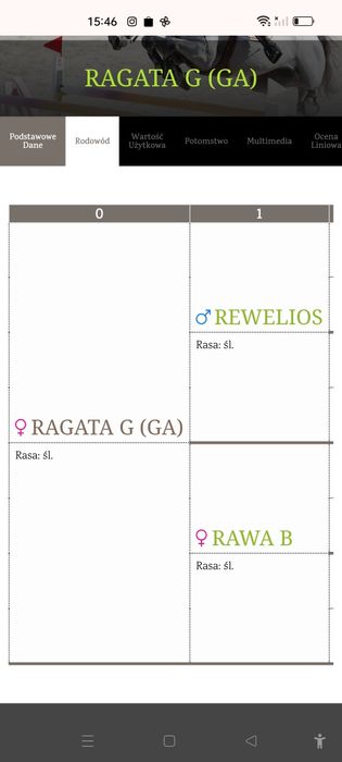 Klaczka Śląska odsadek