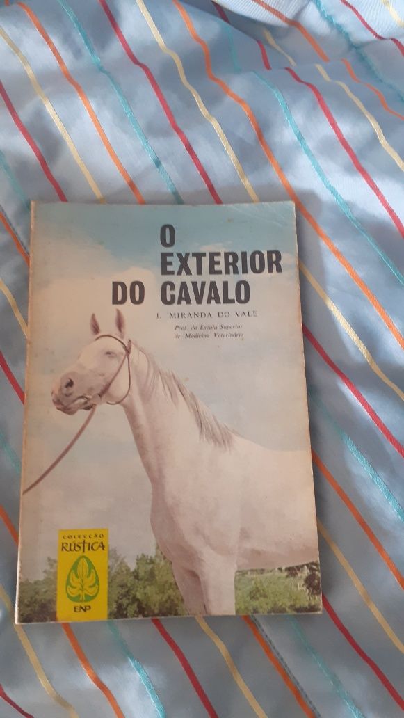 O Exterior do Cavalo livro Miranda Vale, equestre hipismo