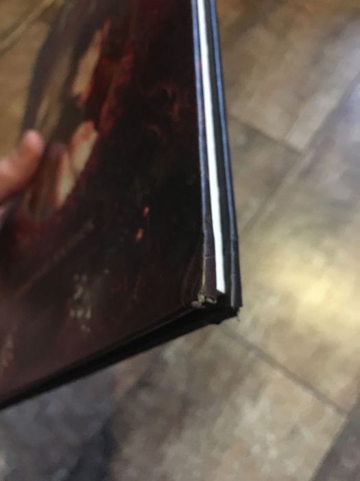 Щоденники Вишеньки том 1 завмерлий зоопарк