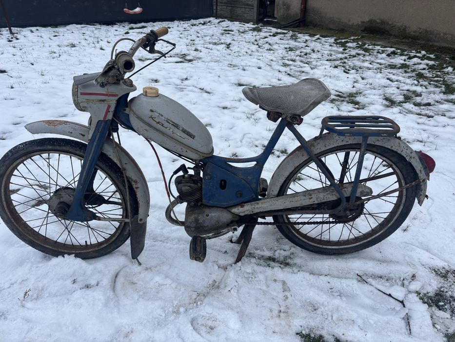 Komar Sztywniak oryginał