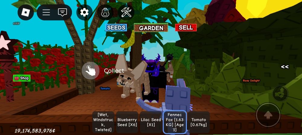 Fennec Fox grow a garden
