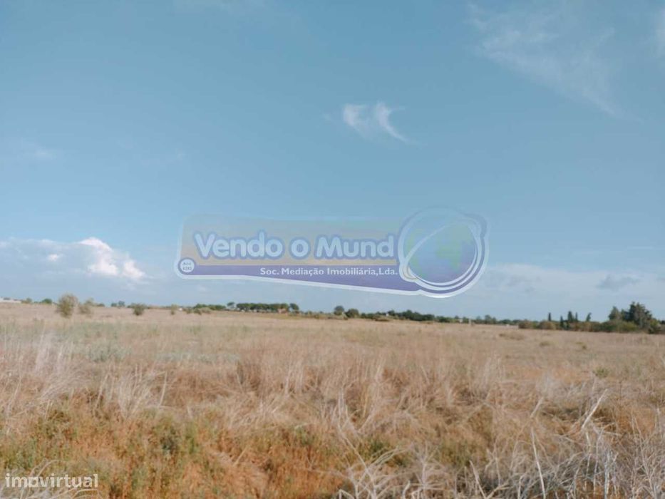 Terreno em Benavente (B556)