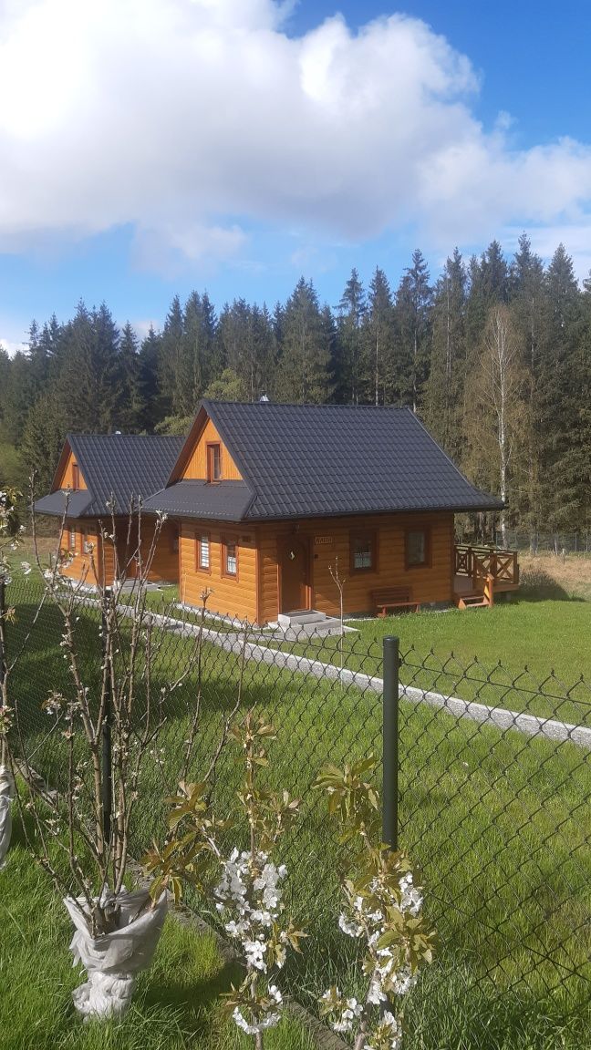 Domek na wynajem "Domki w Dolinie Olzy Istebna"
