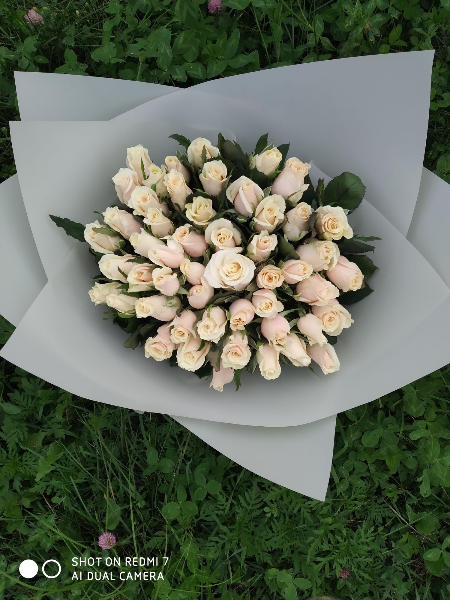 Розы ,букеты 51 101 шт доставка квітів по Україні