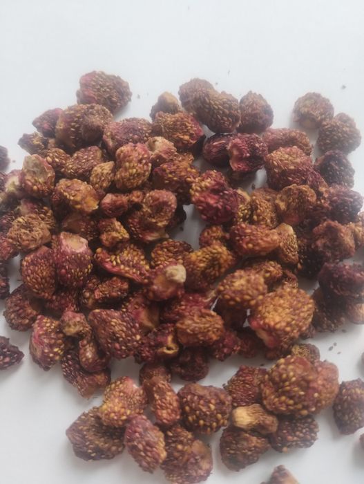 Суниця сушена лісова 500 грн за 100 грам