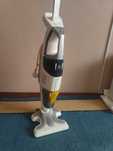 Пилосос ручний для дому Rowenta RY8561WH. Миючий+ парочисник
