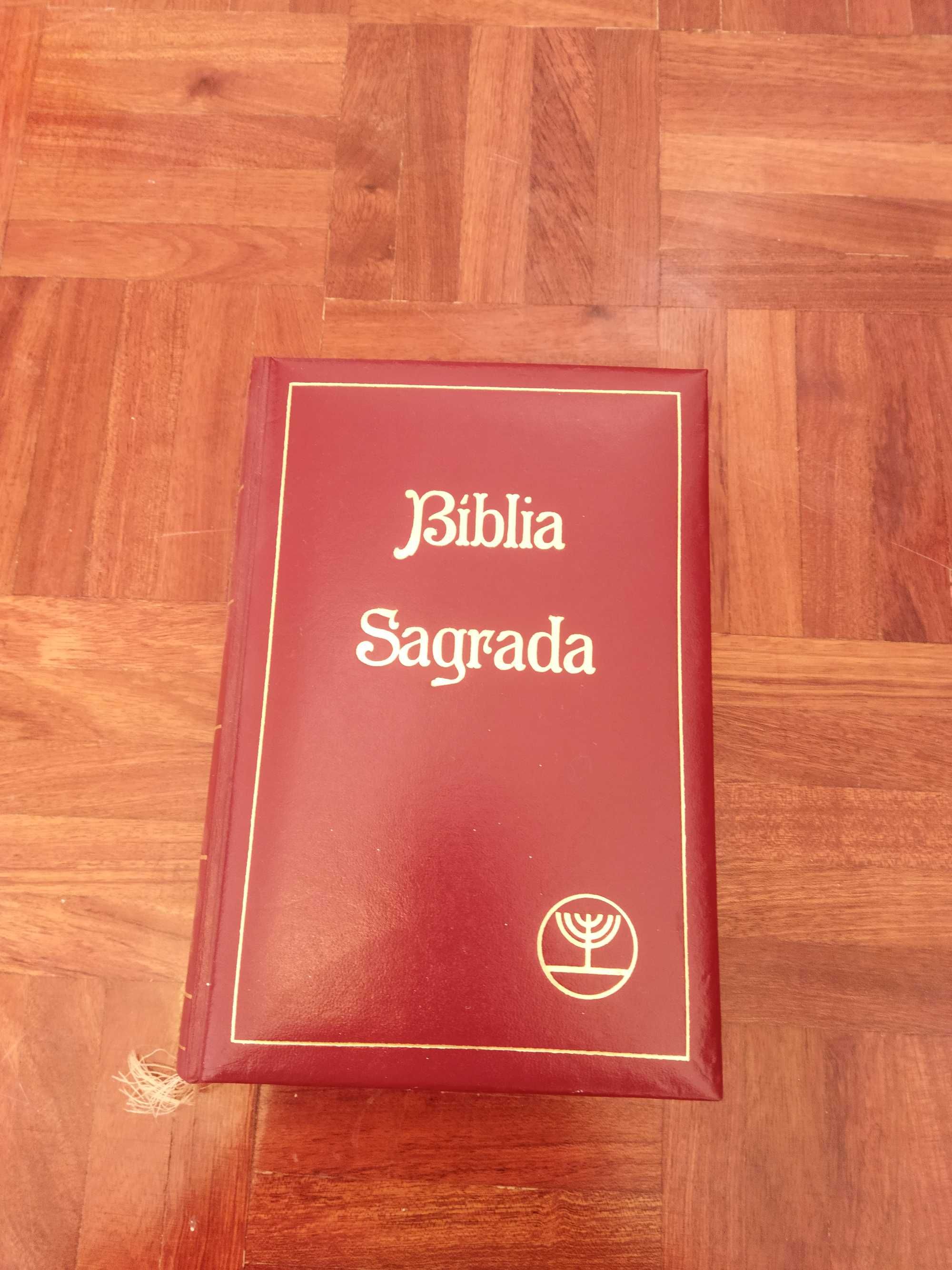 Bíblia sagrada (3 volumes) + Bíblia (Difusora Bíblica Editora)