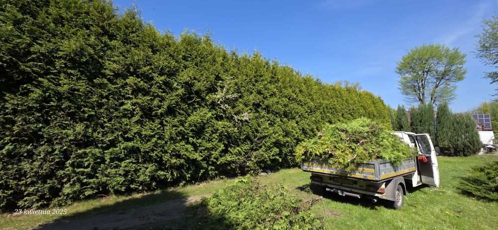 Wycinka drzew, koszenie trawników karczowanie trudno dostępnych miejsc