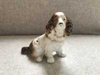 Porcelanowy piesek spaniel vintage