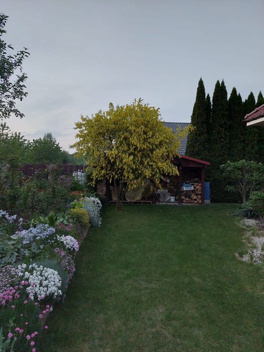 Dom na sprzedaż Henryków