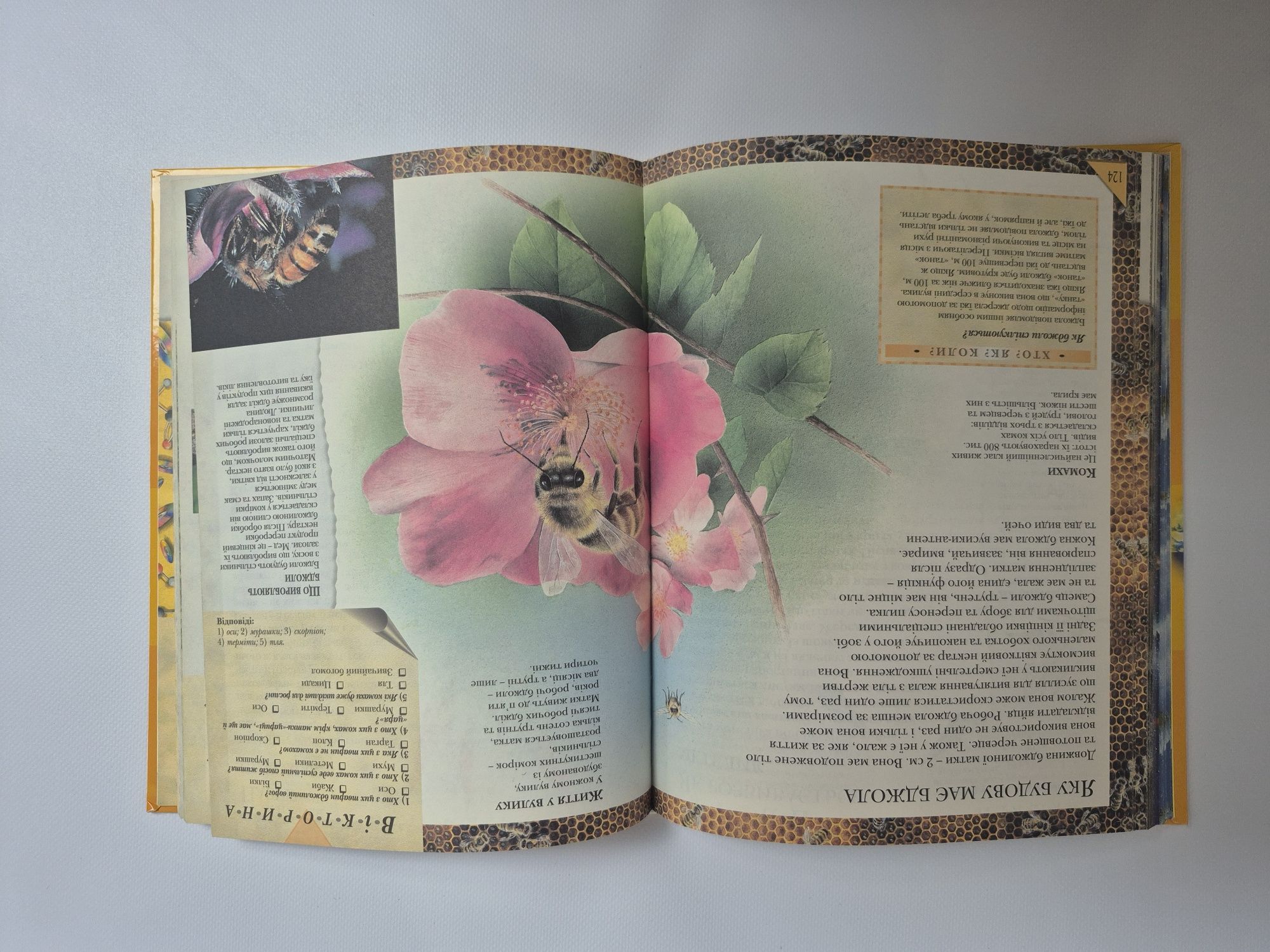 Велика книга Чому  дитяча енциклопедія