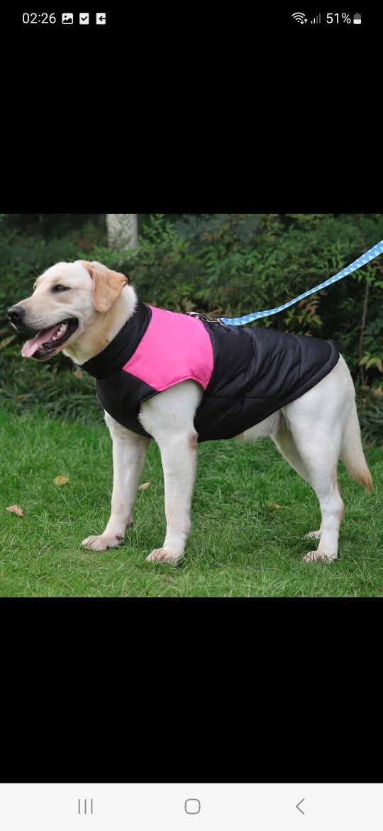 Nowa kurtka dla psa zimowa kurteczka ubranko wodoodporna na zimę xl