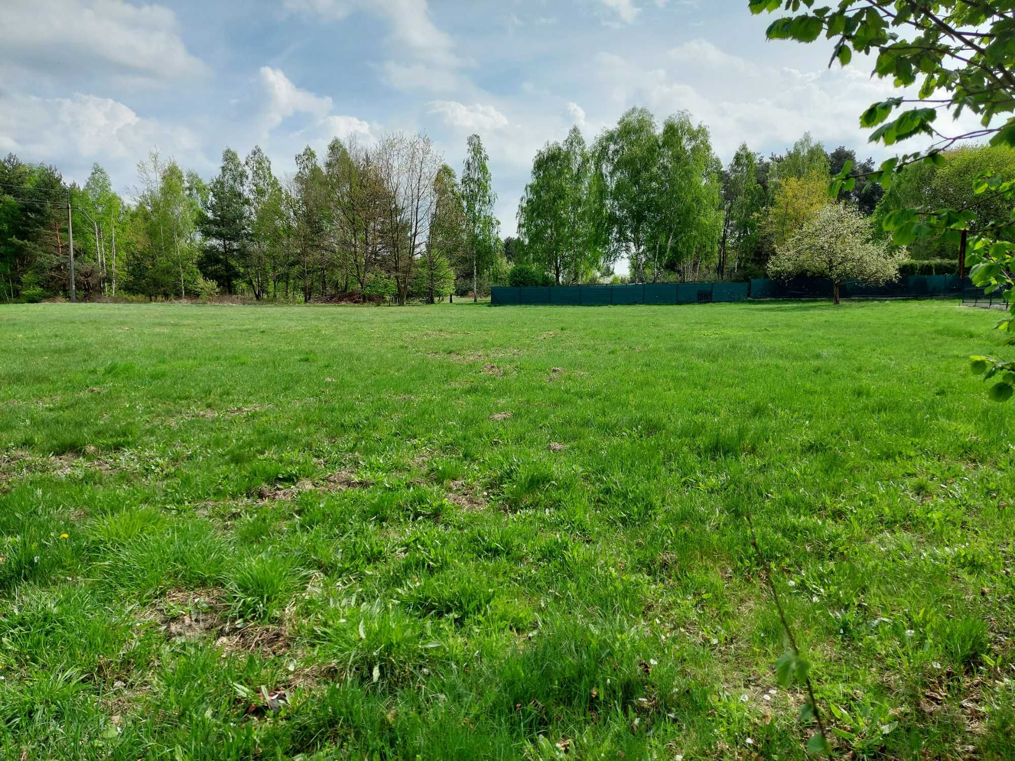 Działki budowlane w Adamów Wieś na sprzedaż