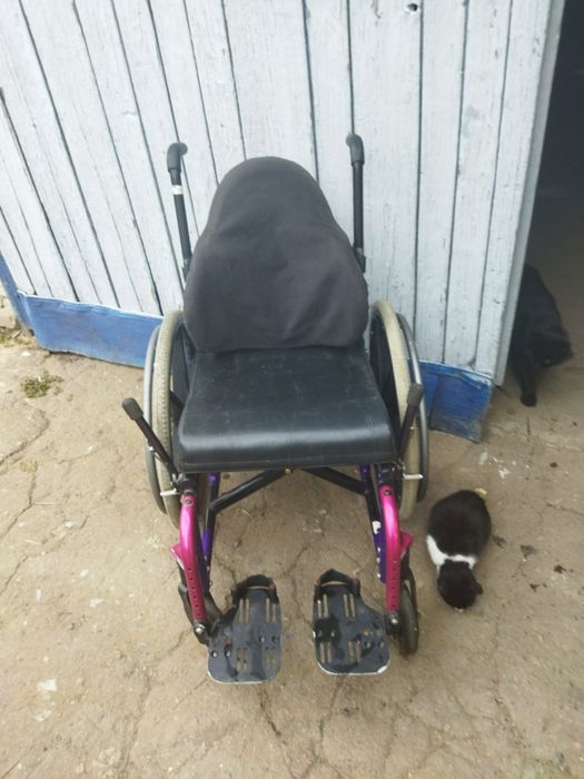 Продам инв.коляска и биотуалет новый, цена договорная.