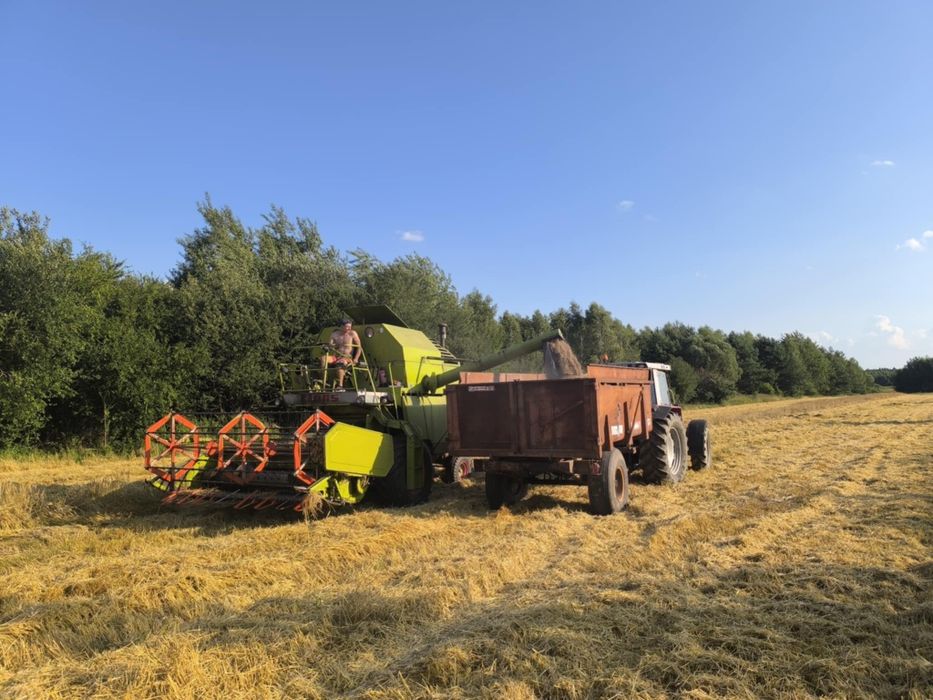 Brimont 8t skorupowa