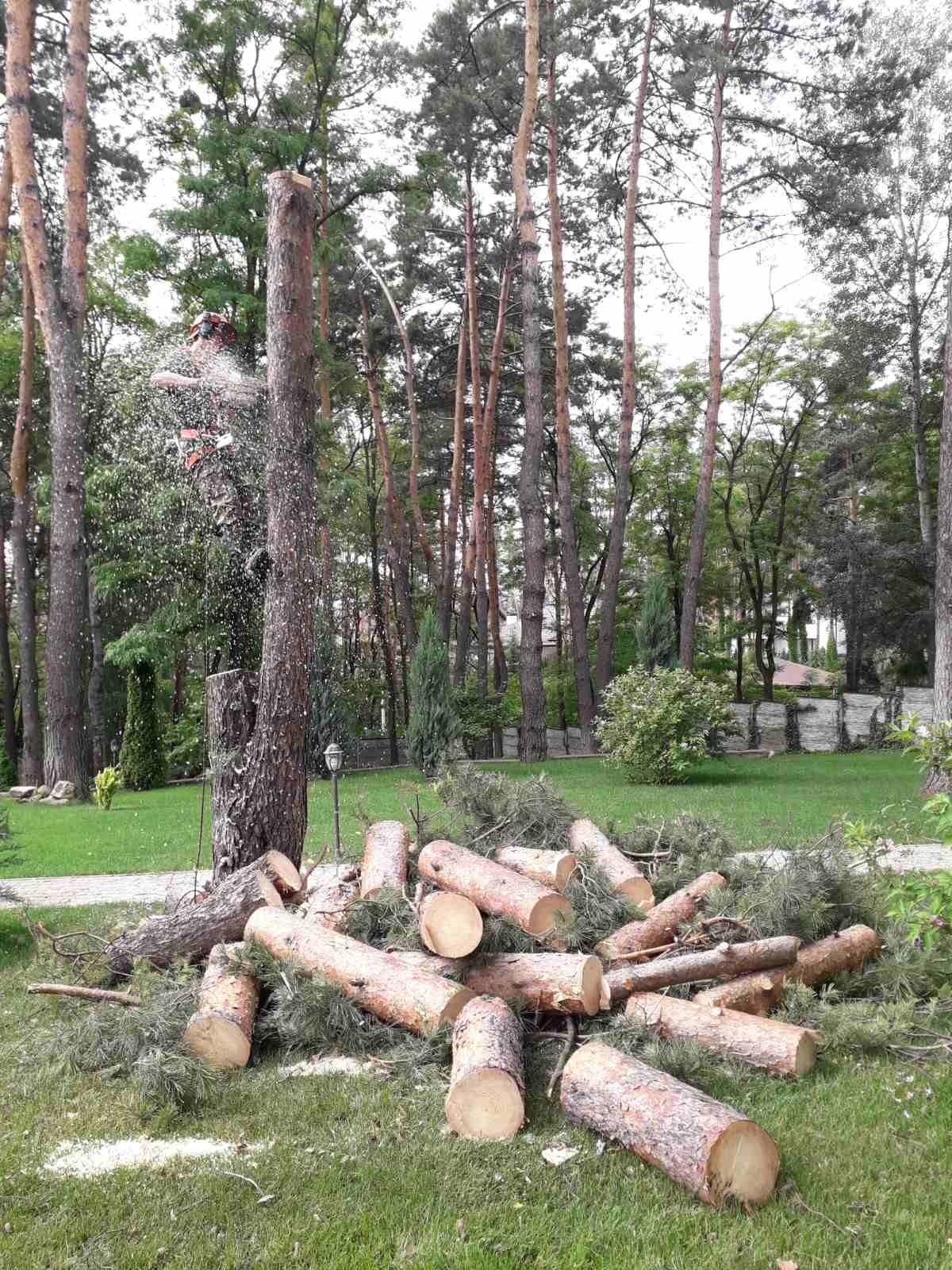 Видалення дерев Корчування пнів Демонтаж будинків