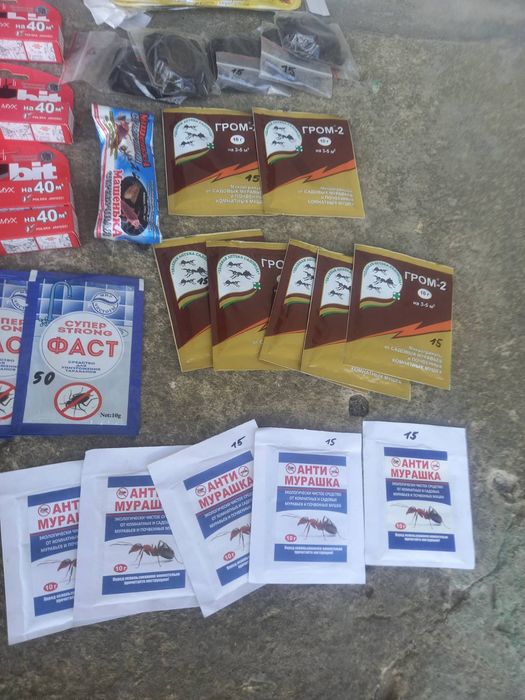 Від тараканів і мурах .