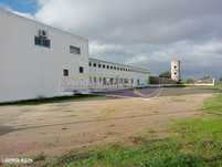 Armazém em Marinhais (M737)