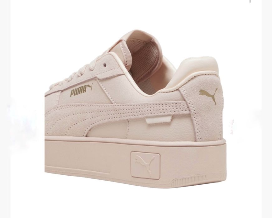 Puma carina street