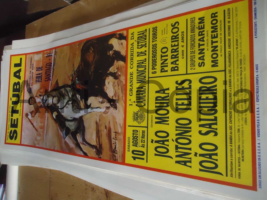 Toiros - Cartazes de Montra 11