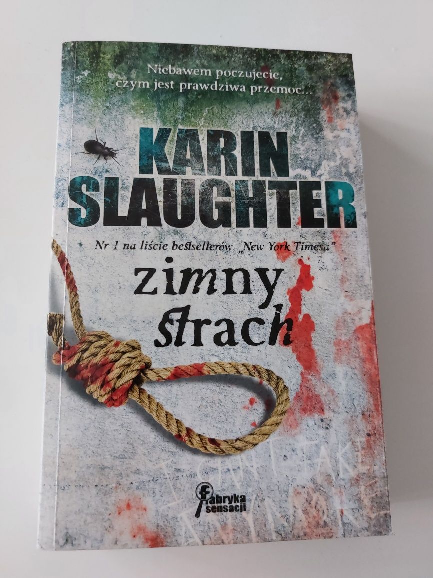 Zimny strach - Karin Slaughter