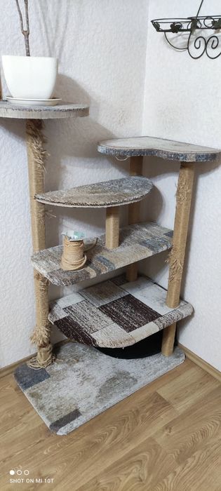 Кошачья когтеточка.