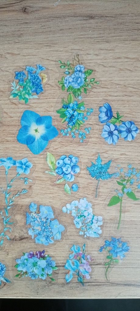 Naklejki do księgi gości, niebieskie kwiaty