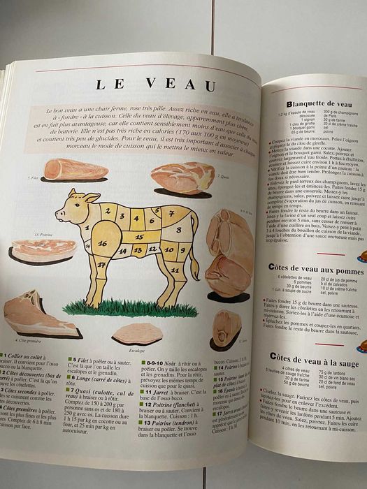 Le grand livre de la cuisine d'aujour d'hui (ctt grátis)