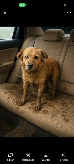 Limpo estofos ao domicílio