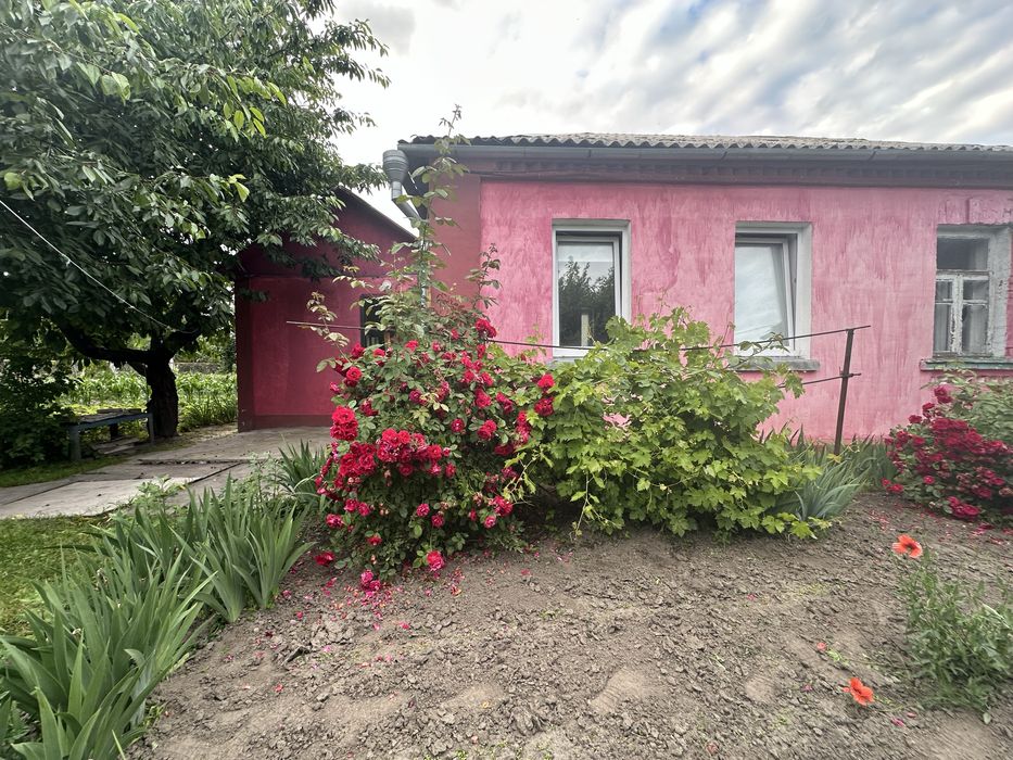 Вигідна пропозиція с.Плесецьке  Будинок під Києвом