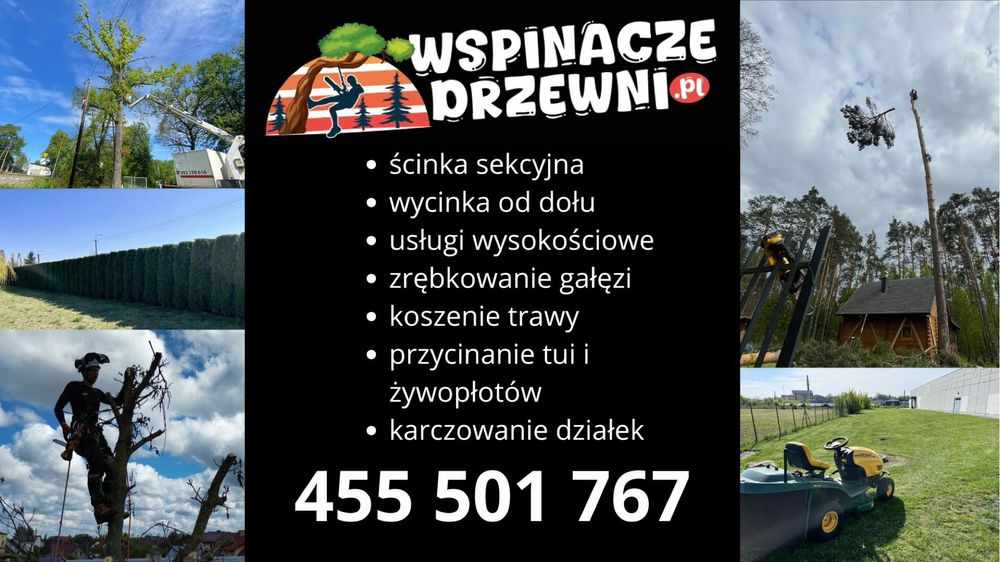 Wycinka drzew trudnych, niebezpiecznych