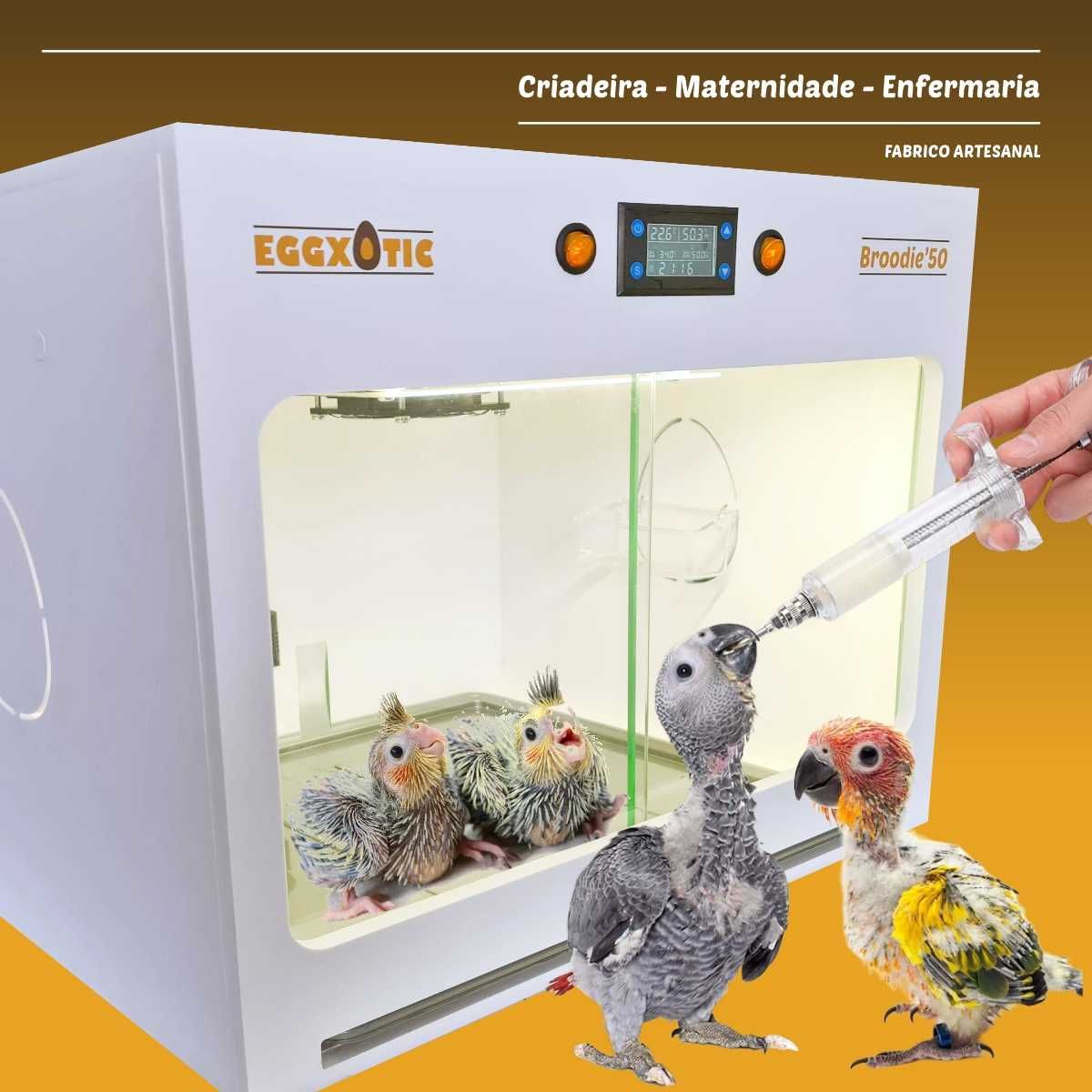 Criadeira de Aves criação à mão, maternidade c/ LED e humidade (Novas)