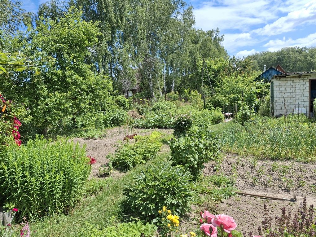 Продаж затишної дачі в місті.