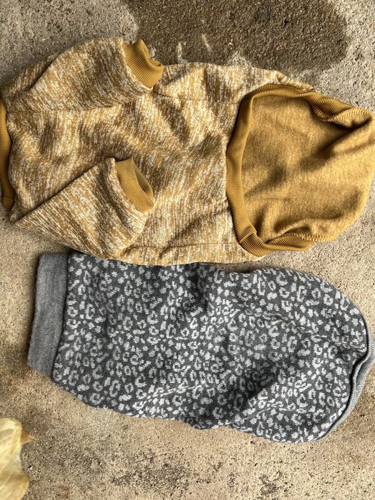 Roupa para cao castanho e cinza