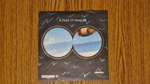 A Flock Of Seagulls - Wishing Płyta Winylowa, gramofon, vinyl, winyl