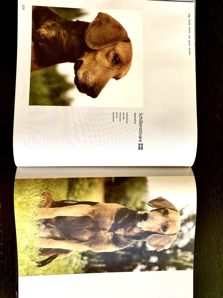 Dogs H-Z, Eukanuba.