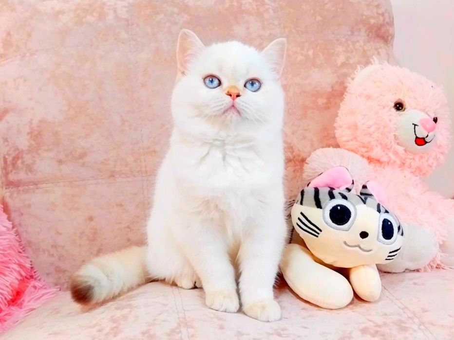 Дівчинка квіточка, неймовірно лагідна і ніжна