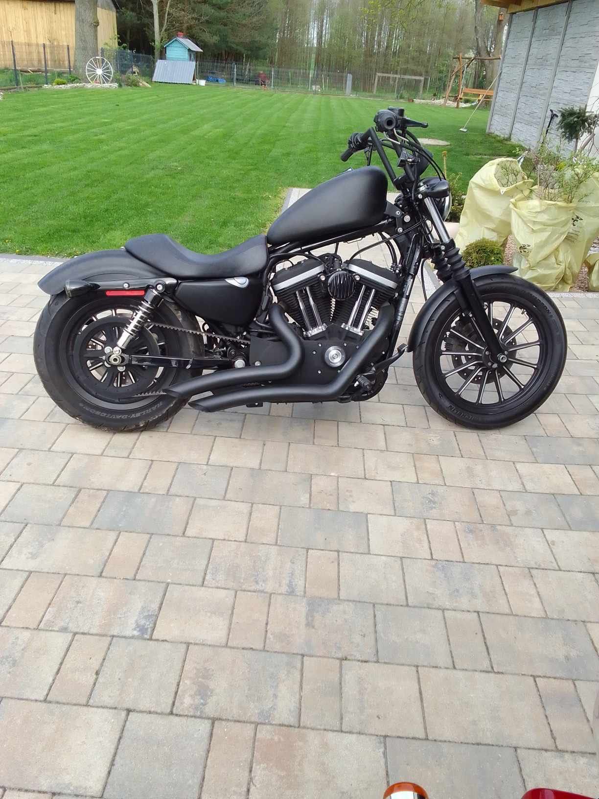 Harley-davidson black 883 xl sportster