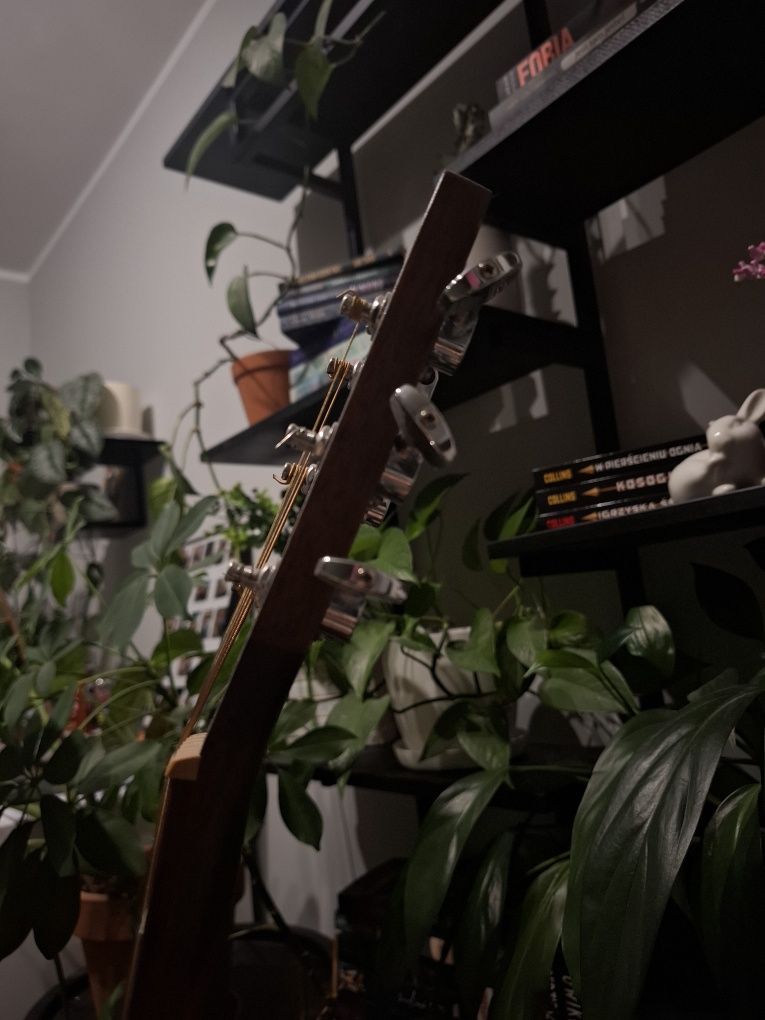 Gitara akustyczna cort ad810 op