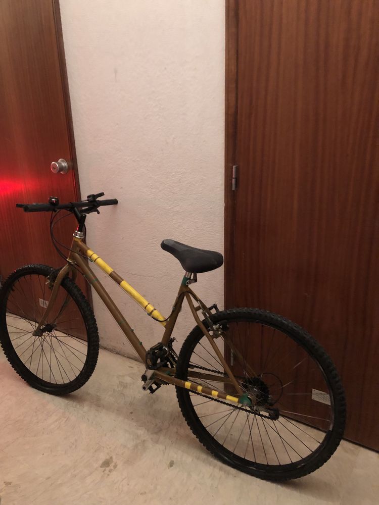 Bicicleta tamanho medio