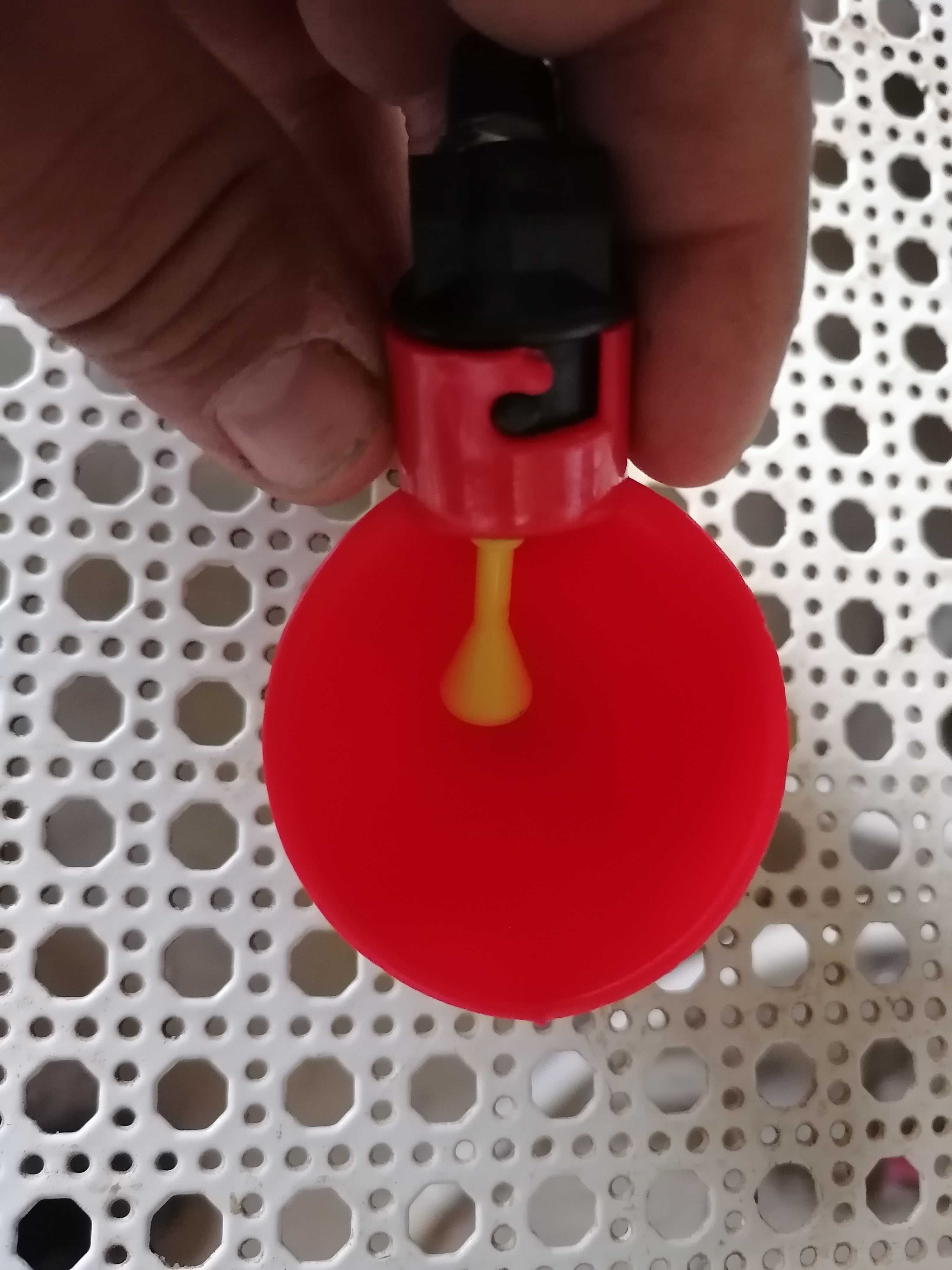 Bebedouro Automático para Aves