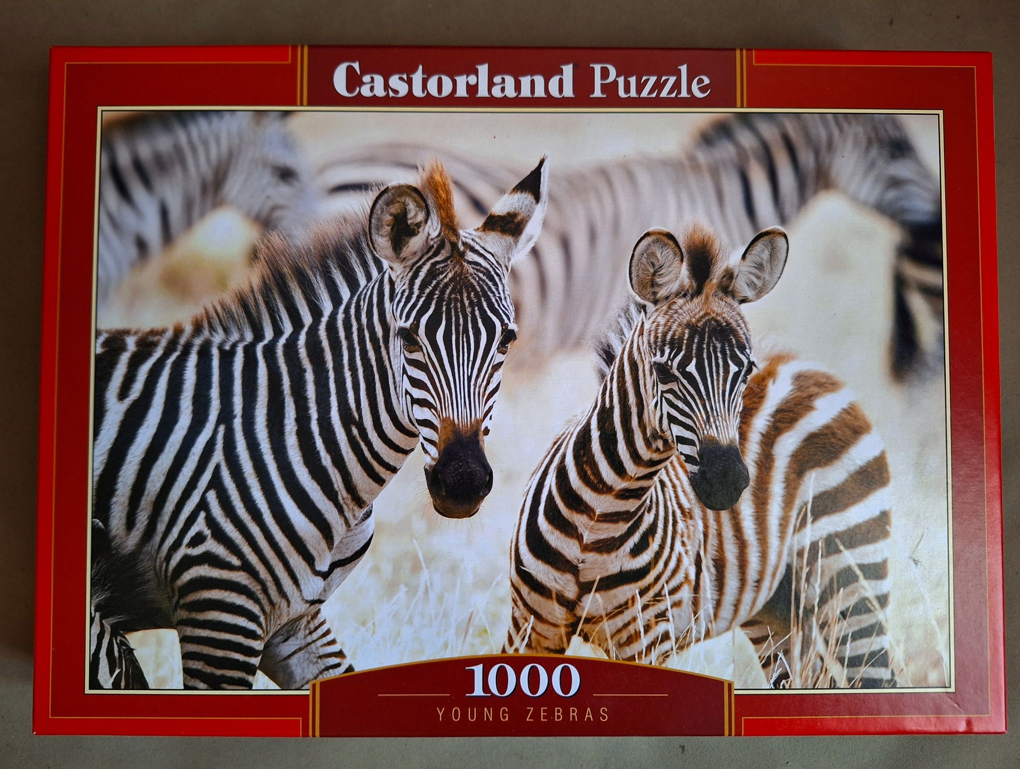 puzzle 1000, Zebry