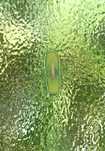 Press-on nails- Green Outline