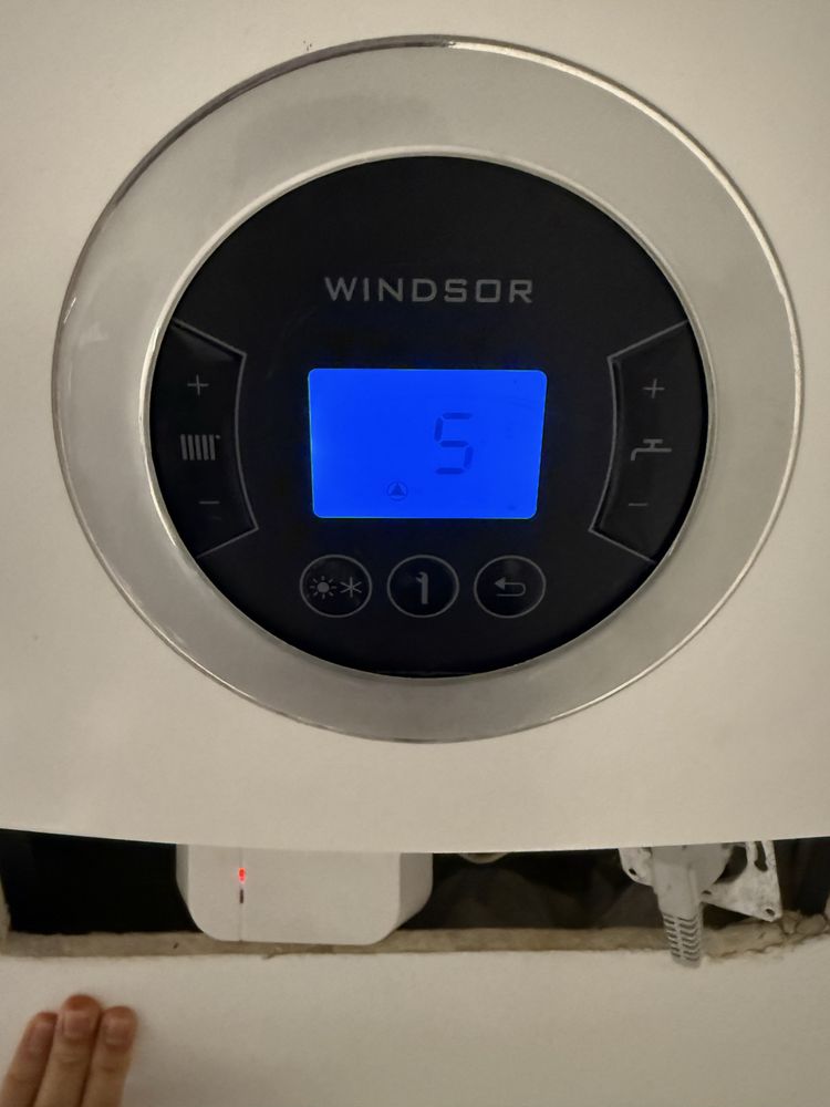 Termet Windsor keller 20