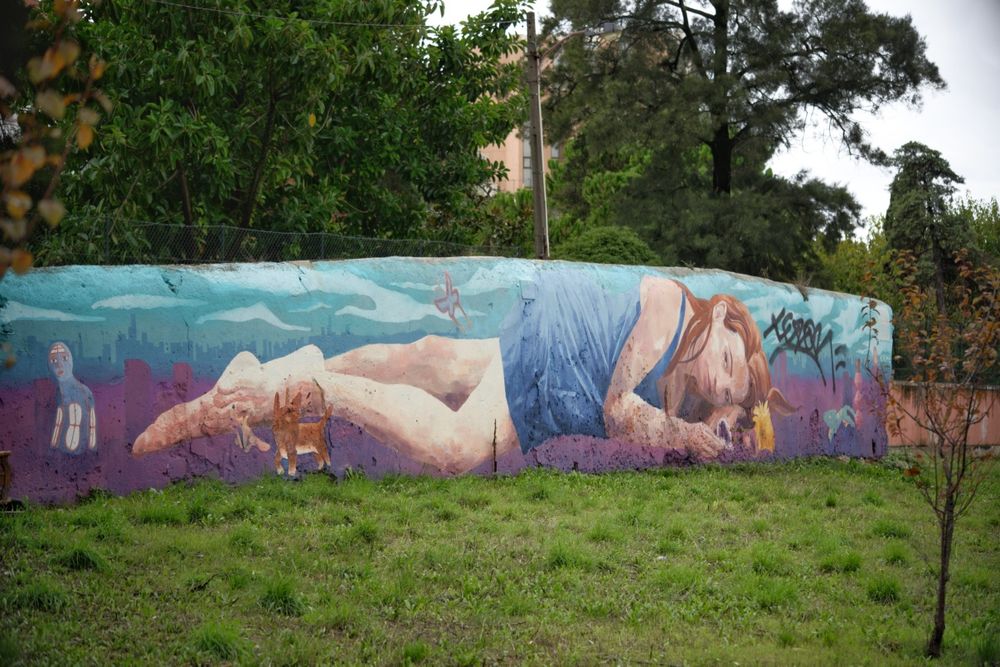 Nikon Nikkor DX 55-300 ED