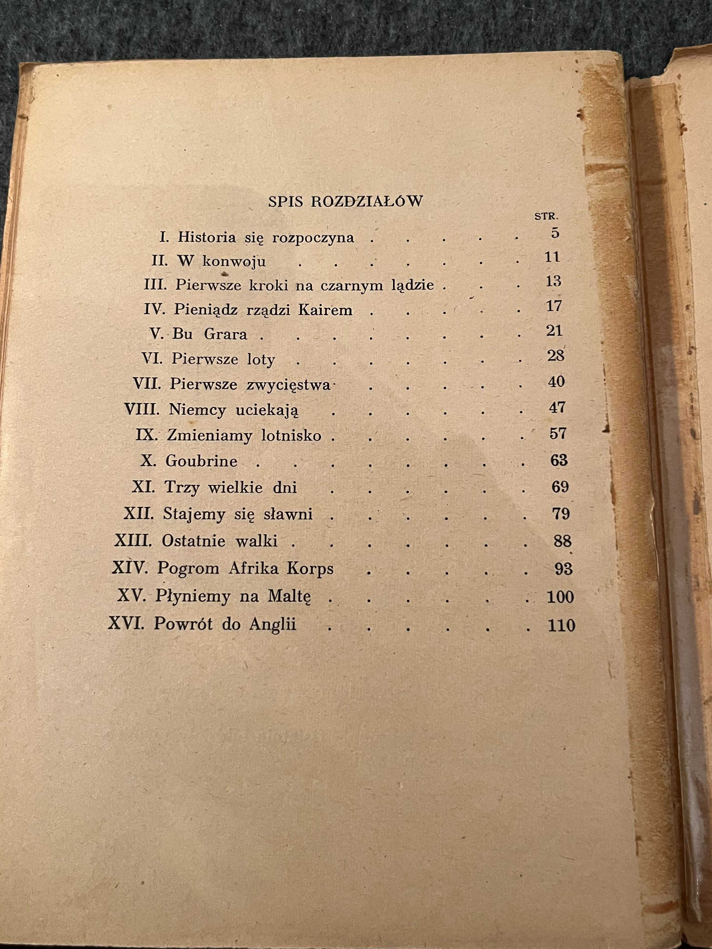 B.Arct. W pogoni za Luftwaffe. Polscy myśliwcy w pustyniach Tunisu