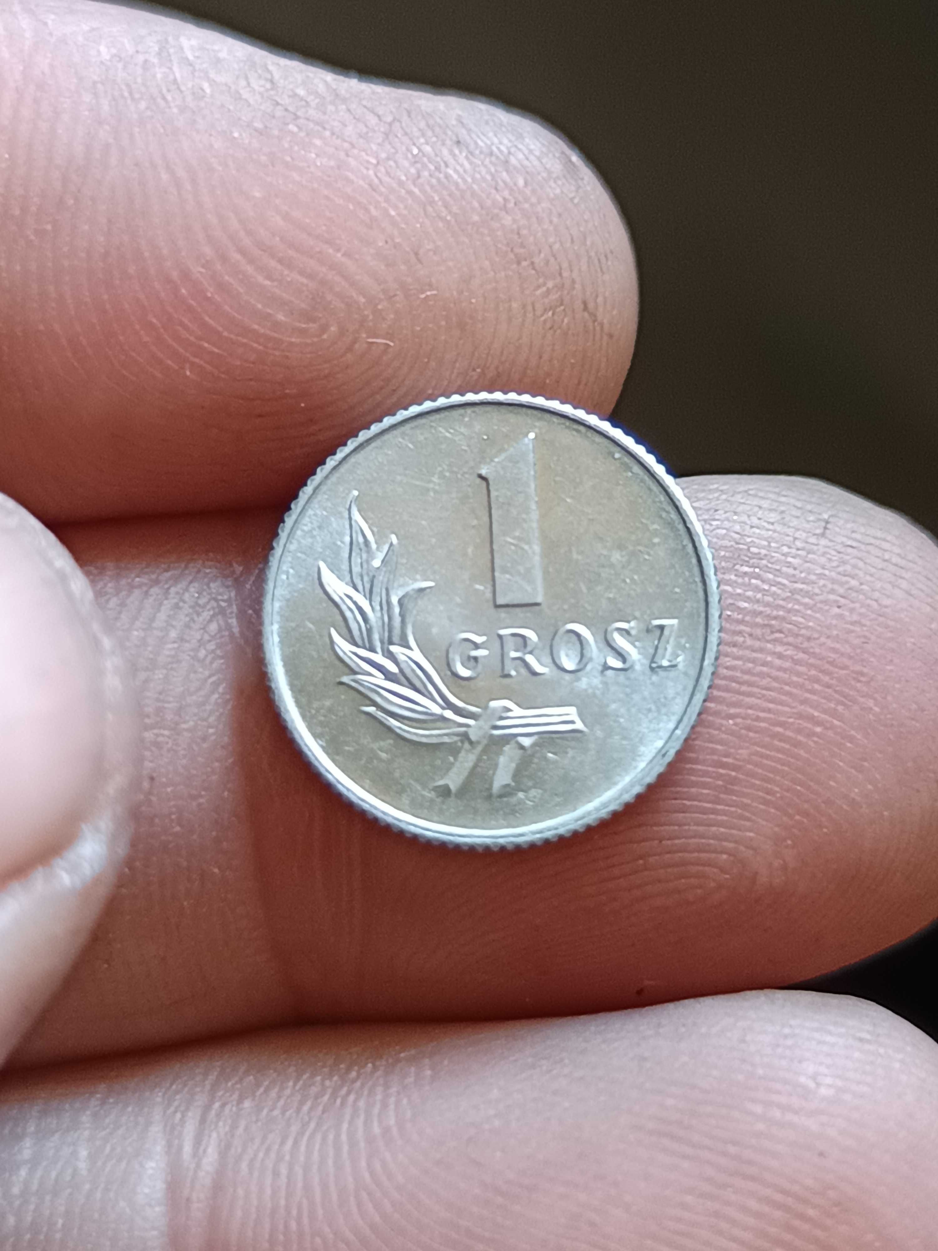 Sprzedam monetę 1 grosz 1949 rok