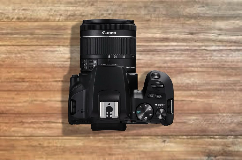 Canon 250D (SL3) + 2 objetivas